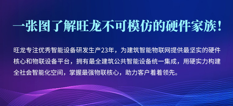 一张图了解旺龙不可模仿的硬件家族！