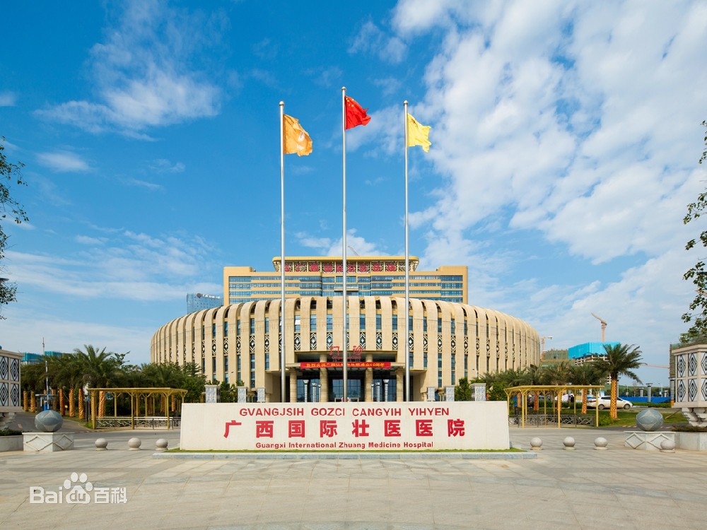 广西南宁国际壮医医院